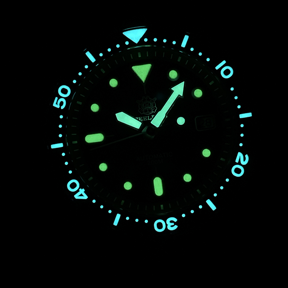 Steelidve sd1973 tartaruga fin - Diver Watch 300M avaliação e preço