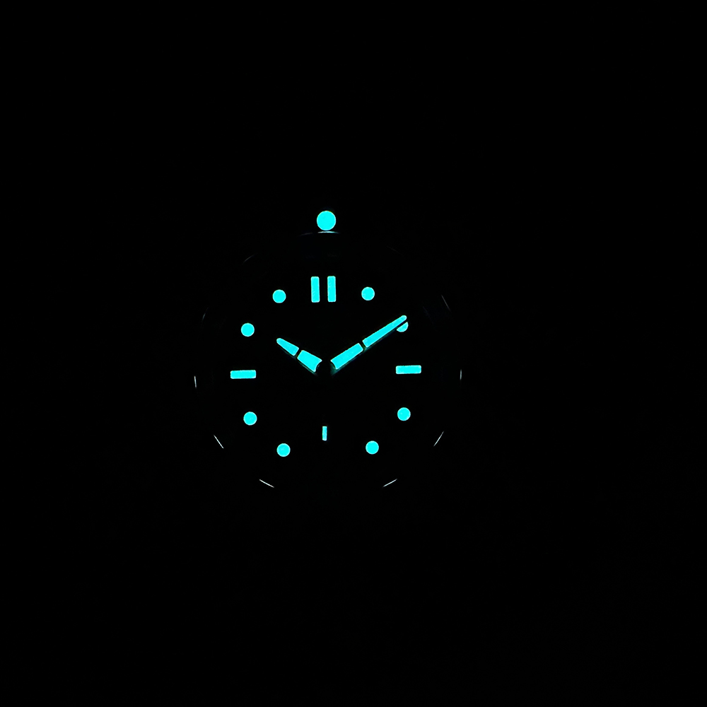 STEELDIVE Oficial Novo SD1960  - Diver Watch 300M avaliação e preço